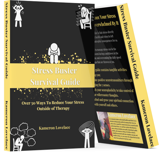 Stress Buster's Survival Guide Ebook